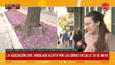 Obras en calle 25 de Mayo: advierten que el corte de ra&iacute;ces pone en riesgo a hist&oacute;ricos lapachos